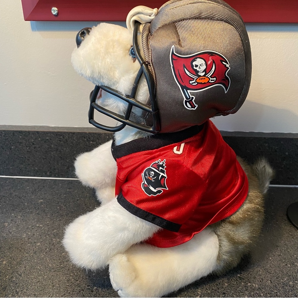 Build A Bear BABW Tampa Bay Buccaneers Football Outfit Husky Dog‎ Plush